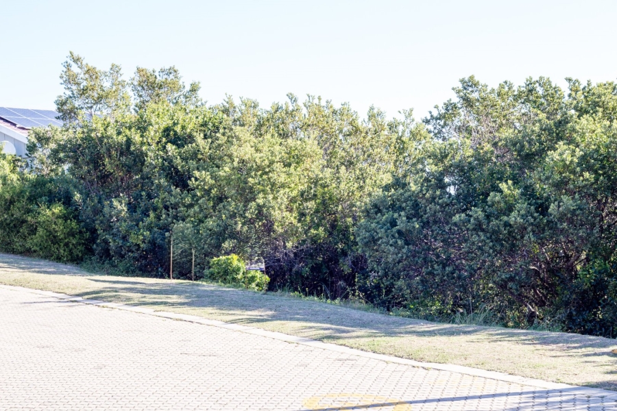  Bedroom Property for Sale in Bergsig Western Cape
